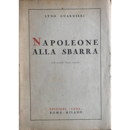 Napoleone alla sbarra