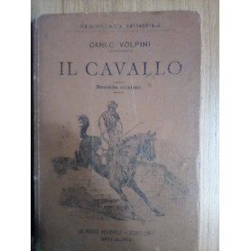 Il cavallo