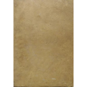 Librisaggi