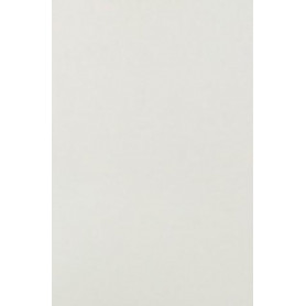 Librisaggi