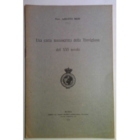 Una carta manoscritta della Trevigiana del XVI secolo