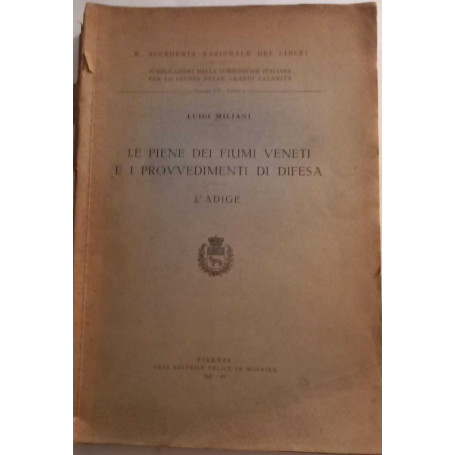 Le piene dei fiumi veneti e i provvedimenti di difesa - L'Adige