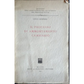 Il processo di ammortamento cambiario