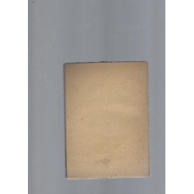 Librisaggi
