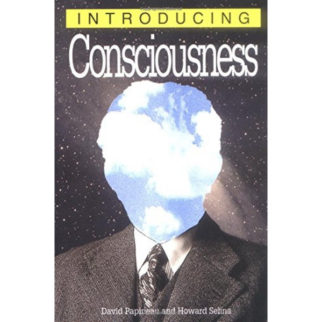 Introducing Consciousness