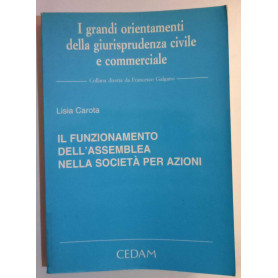 Il funzionamento dell'assemblea nella società per azioni