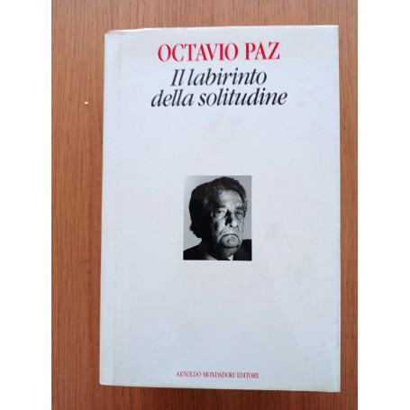 Il labirinto della solitudine
