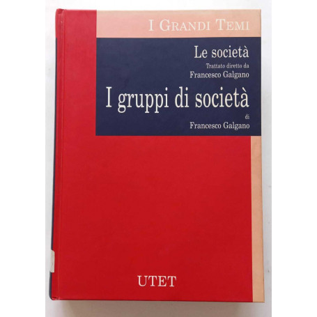 Le società. I gruppi di società