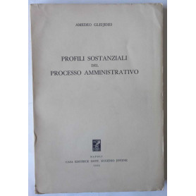 Profili sostanziali del Processo Amministrativo