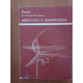 Breccole e sampietrini