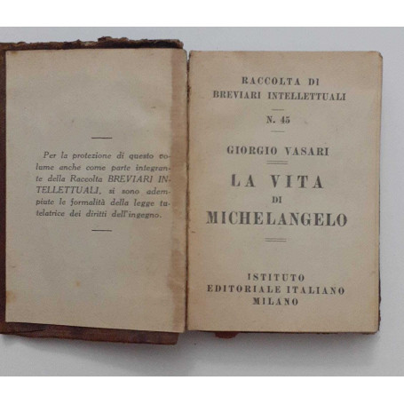 La vita di Michelangelo