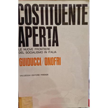 Costituente aperta