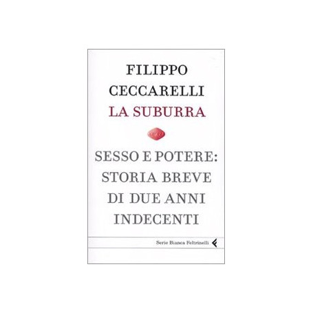 La suburra. Sesso e potere: storia breve di due anni indecenti