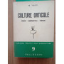 Colture Orticole carota - barbabietola - spinacio