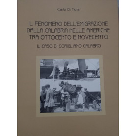 Il fenomeno dell'emigrazione dalla Calabria nelle Americhe tra Ottocento e Novecento