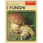 Raccogliamo i funghi