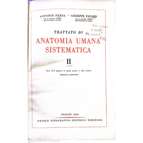 Trattato di anatomia umana sistematica. Volume II