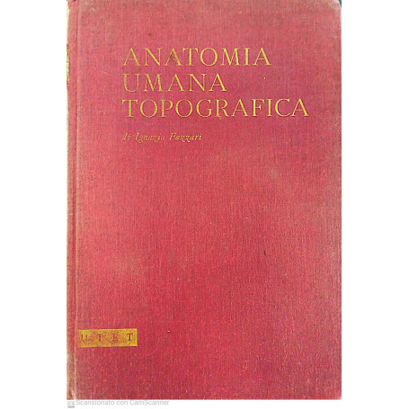 Anatomia umana topografica