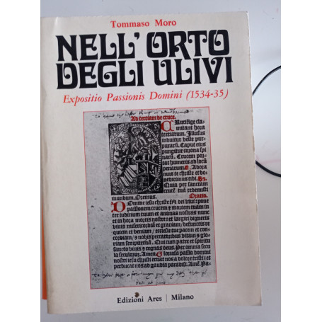 Nell'orto degli ulivi
