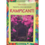 Impianto cura e varietà dei rampicanti
