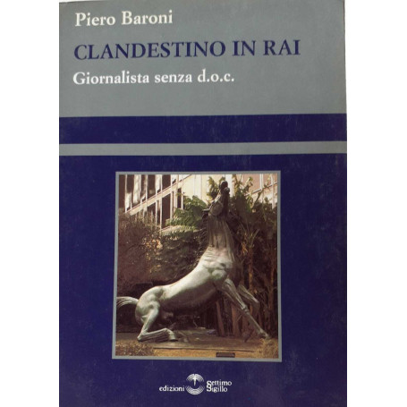 Clandestino in Rai. Giornalista senza d.o.c.