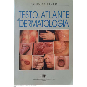 Librisaggi