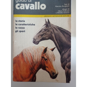 Guida al cavallo