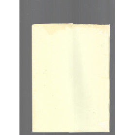 Librisaggi