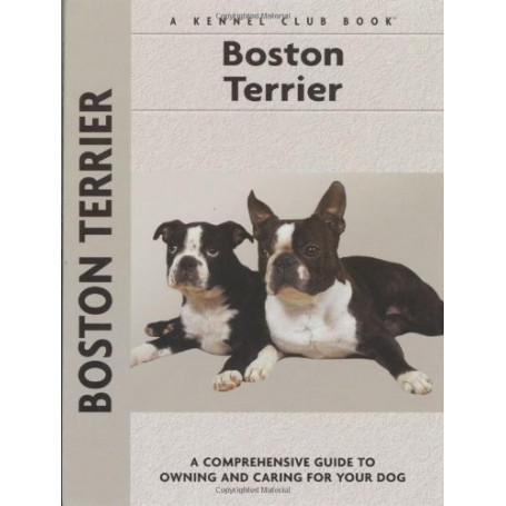 Boston Terrier
