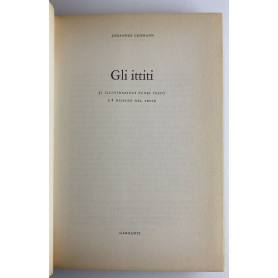 Gli ittiti