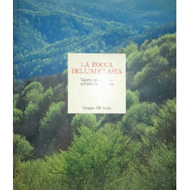 La rocca dell'Adelasia. Una riserva naturalistica nell'alta val Bormida. Ediz. illustrataLibrisaggi