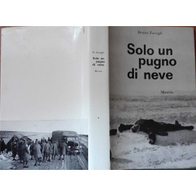 Solo un pugno di neveLibrisaggi