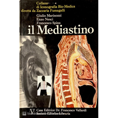Il mediastino