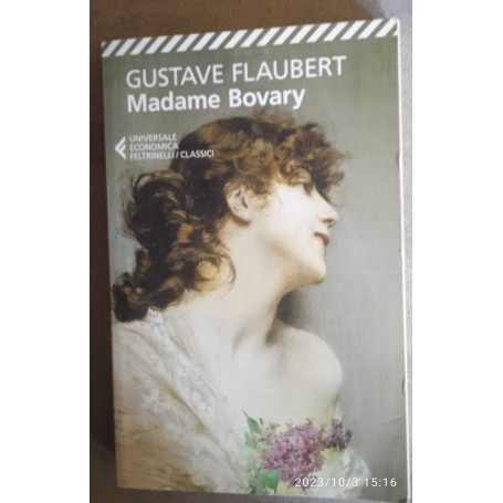 Madame Bovary