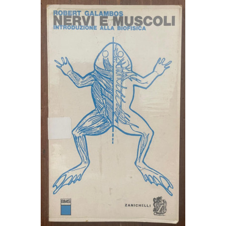 Nervi e muscoli
