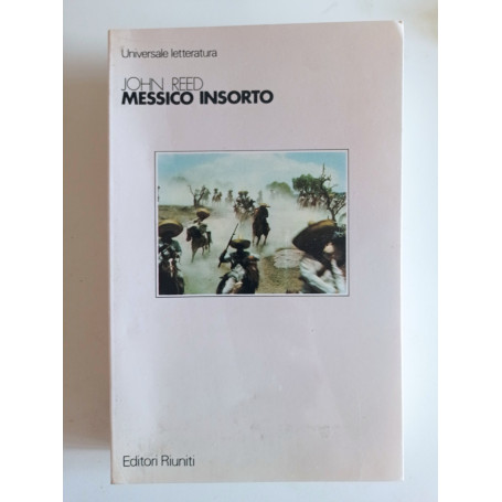 Messico insorto