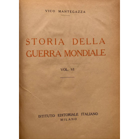 Storia della guerra mondiale. Volume VI