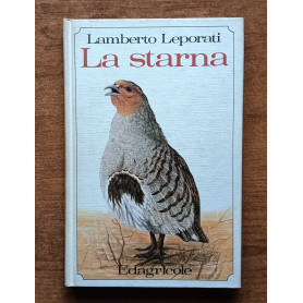 Librisaggi Librisaggi