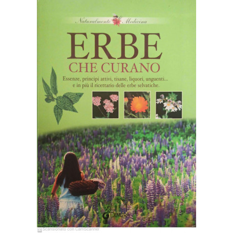 Erbe che curano