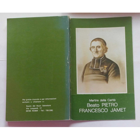 Martire della carità. Beato Pietro Francesco Jamet