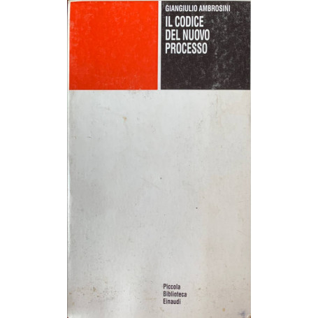 Il codice nel nuovo processo