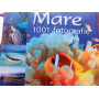 Mare