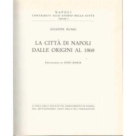 La città di Napoli dalle origini al 1860