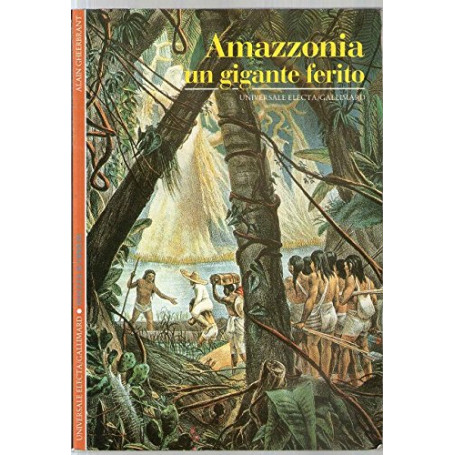 Amazzonia. Un gigante ferito