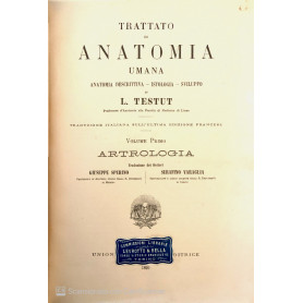 Trattato di anatomia umana Artrologia Vol. 1Librisaggi