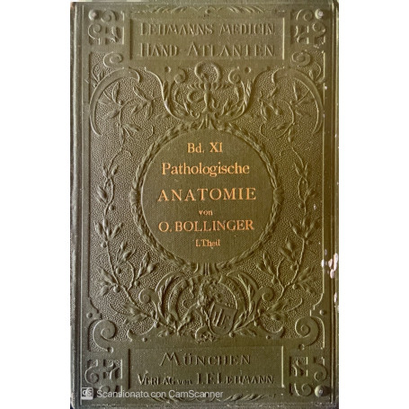 Atlas und Grundriss der pathologischen anatomie