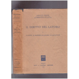 Il diritto del lavoro. Volume I