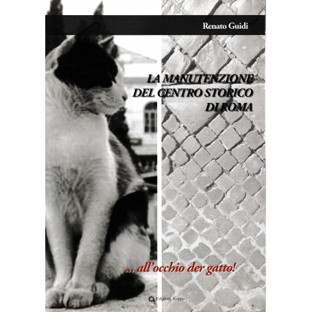 La manutenzione del centro storico di Roma