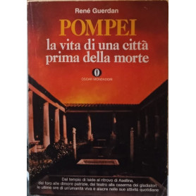 Pompei la vita di una citta prima della morte