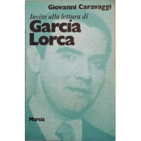 Librisaggi